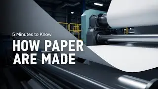 How Cement Is Made | Inside a Cement Factory | 5 Minutes to Know How Paper Is Made