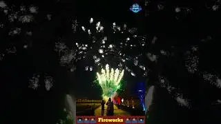 Fireworks Show 🎆 Atosh Baji 🎇 Patakha 🧨 #shorts #fireworks #halercm
