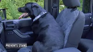 Plush Paws Products Premium Velvet Front Seat Cover for Cars, Trucks and Suv's