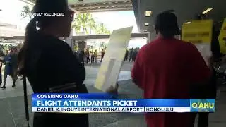 AFA on ABC Honolulu: Flight Attendants Picket