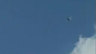 New Programmed GLDAB for Gliding of Ornithopter.