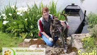 Balade Canine Sportive - par Motiv'Action Canine