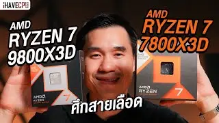 ศึกสายเลือด RYZEN 7 9800X3D VS RYZEN 7 7800X3D  l iHAVECPU
