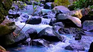 Background Mountain River Water Flow Sounds for Long Focus Sessions