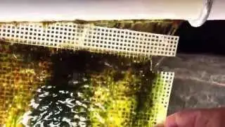 Easy way to install a screen on an Algae Turf Scrubber ATS.