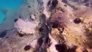 Pulebardha Beach Underwater