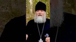 Despair Is The Fruit Of Distorted Thinking #orthodoxchurch #faithhabits #jesuschrist #truth #jesus