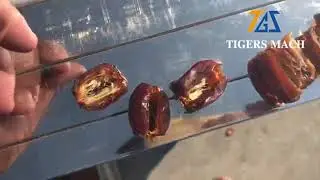 Date pitting and cutting machine