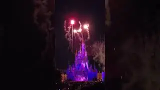 【TDL】Reach for the Stars 携帯　縦向きにて初撮影しました♪♪見てください😊