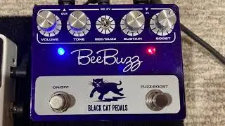 Fuzz Friday #2: Black Cat Pedals Bee Buzz