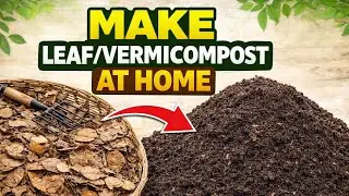 Making Lead Compost/Vermicompost with earthworms at Home 🏡 