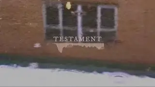 Alera - Testament