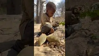 Wild berries | TSIPITI #hadzabetribe #africa #funny