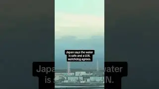 Japan begins releasing treated radioactive wastewater from Fukushima nuclear plant disaster #shorts