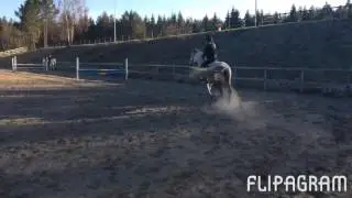 Amazing grey 2/4 hopptr&auml;ning