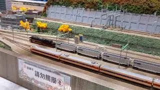 2025.11.19 陞暉恰 FLEISCHMANN PICCOLO DB BR50 50 493+Bethgon Coalporter 