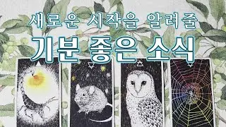 타로🔮｜1월에 찾아올 기분 좋은 소식