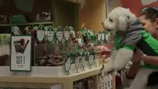 Celebrate St. Patrick's Day With Healthy Spot