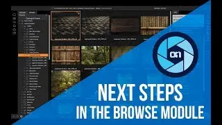 Next Steps in Browse: Importing and Organizing &ndash;&nbsp;ON1 Photo RAW
