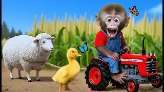 Monkey Farmer And Duckling Drives Tractor To Save Sheep Lost In The Woods - Monkey Farm Work