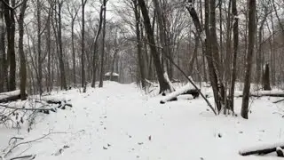 Westmount, Summit Winter Wonderland