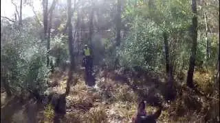 Trexler Nature Preserve - On Horseback