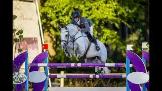 Cohinoor VDL Stallion Show 2021