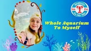 I Had The WHOLE Aquarium TO MYSELF | Anglesey Sea Zoo
