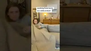 day in the life of a wfh data analyst.