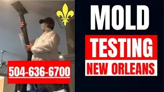 Mold Testing New Orleans