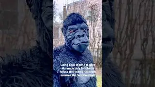 Going back in time to save Harambe