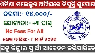Odisha Collector Office Recruitment 2021 ! Data Analyst and Assistant cum Data Entry Operator post