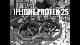 Time2FLY: The iFlight Protek 25 Cinewhoop~Naked GoPro 6 [[4k]]~RSGO~