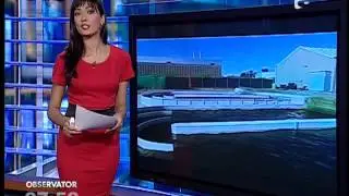 Cum poti sa produci combustibil din algele care au invadat plajele lumii
