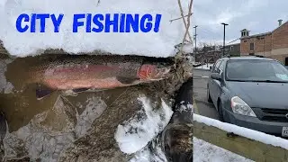 Drainage-Ditch Steelhead Fishing 2023! (Buffalo, NY)