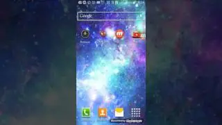Play is Funny bird