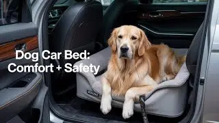 Dog Car Bed &ndash; Comfort & Safety for Stress-Free Rides