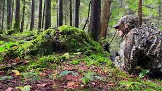 The approach - Mobile Film Festival - Making Peace With Nature