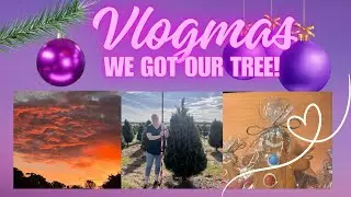 Vlogmas 2025 — ёлка, встречи, подарки и рождественские развлечения в Sovereign Hill