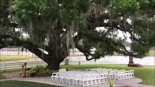 Highland Manor Apopka wedding ceremony / Is That Alright from A Star Is Born / Harp Cover