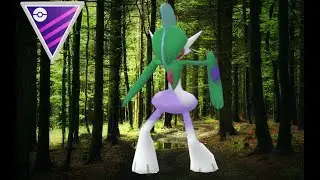 Shadow Gallade's damage Must be feared