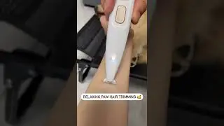 Releasing paw hair trimming #dfordog #shorts #ytshorts #dog