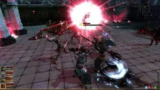 Dragon Age 2 Carver Hawke Templar