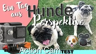 Ein Tag aus Hunde Perspektive I Mia Mops testet Action Kamera