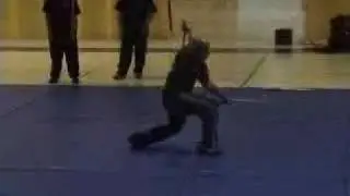 FMA Demo of Double weapons