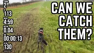 Canicross with a rescue dog - Betty&rsquo;s first FULL race weekend