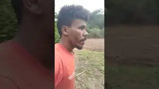 VEJAM  COMO ESTA LINDA &Aacute; MINHA HORTA