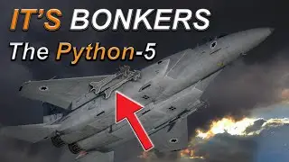 Watch Me Try and Kill a Python Missile in the Eurofighter Typhoon | DCS