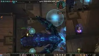 Solo hidra