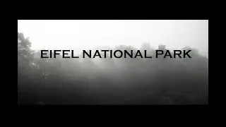 My First Visit to Eifel National Park  2018